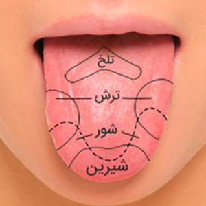 همه چیز راجع به حس چشایی